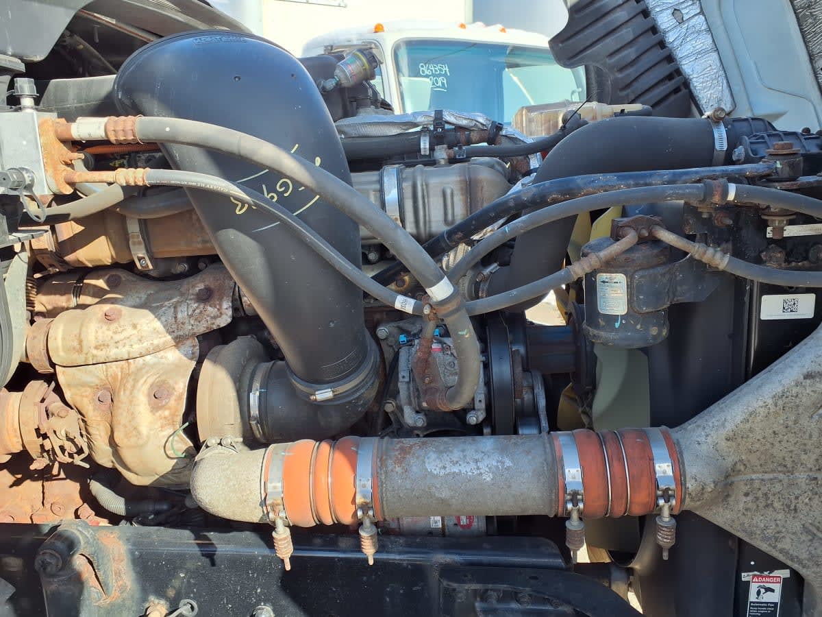 2019 Freightliner/Mercedes CASCADIA 125 875427