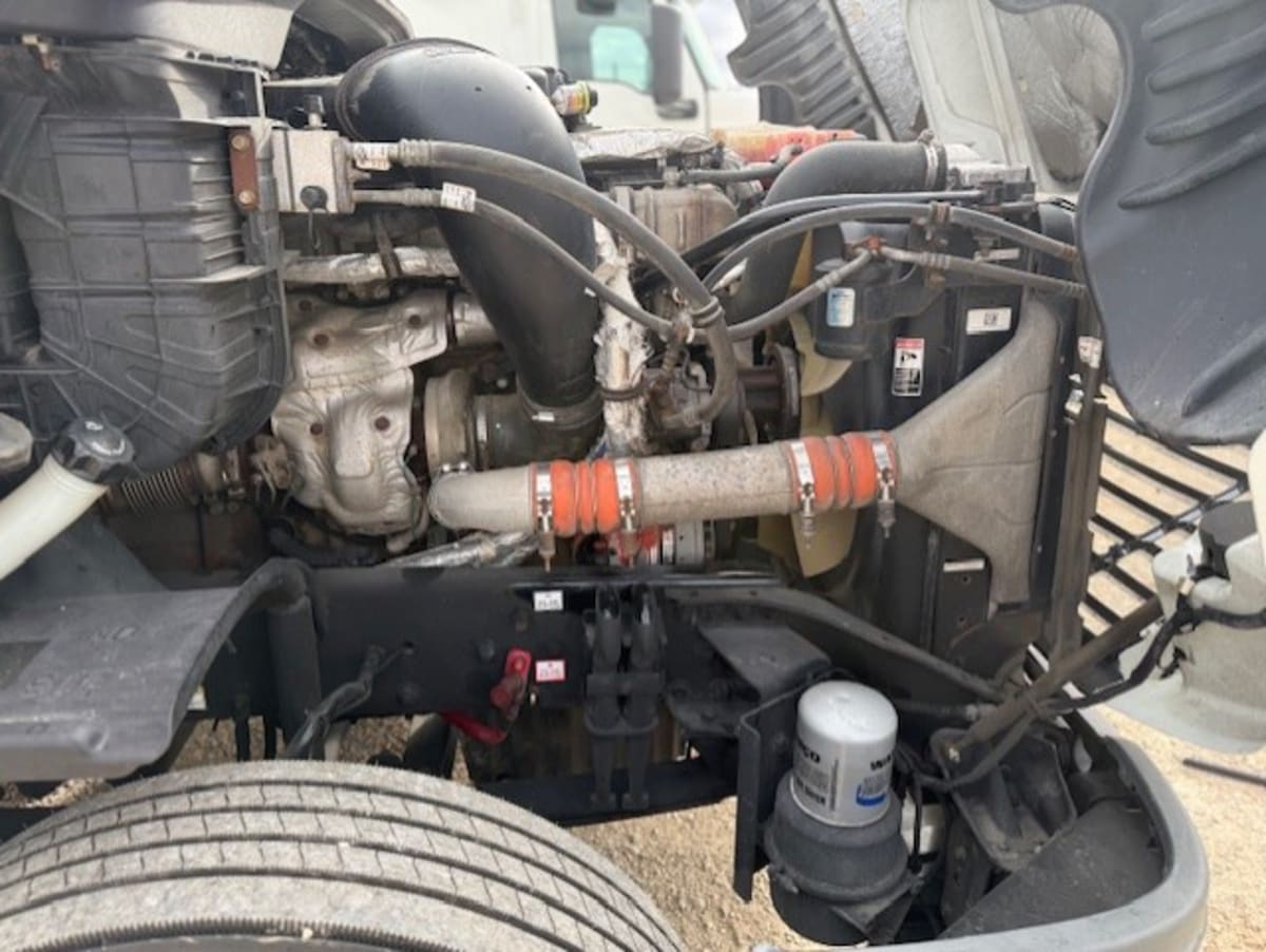 2020 Freightliner/Mercedes CASCADIA 125 875500