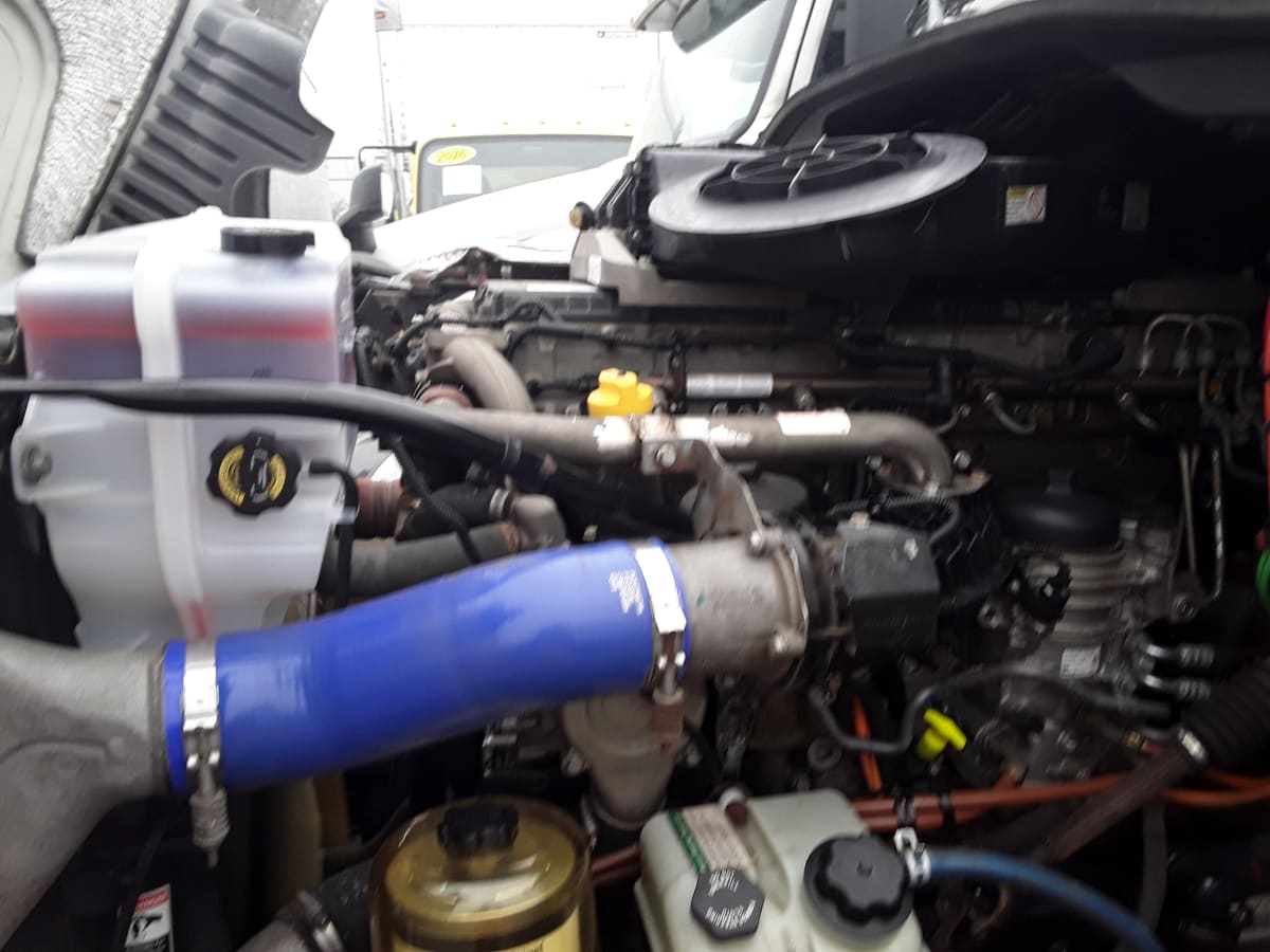 2020 Freightliner/Mercedes CASCADIA 125 875544