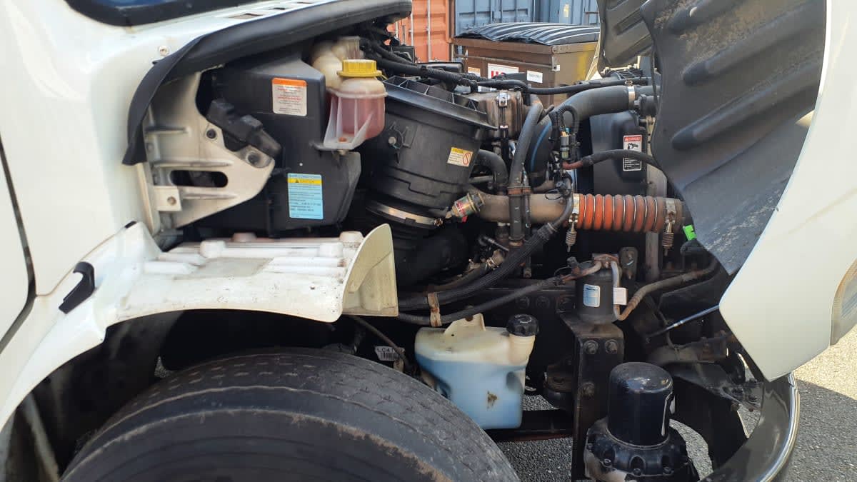 2019 Freightliner/Mercedes M2 106 875630