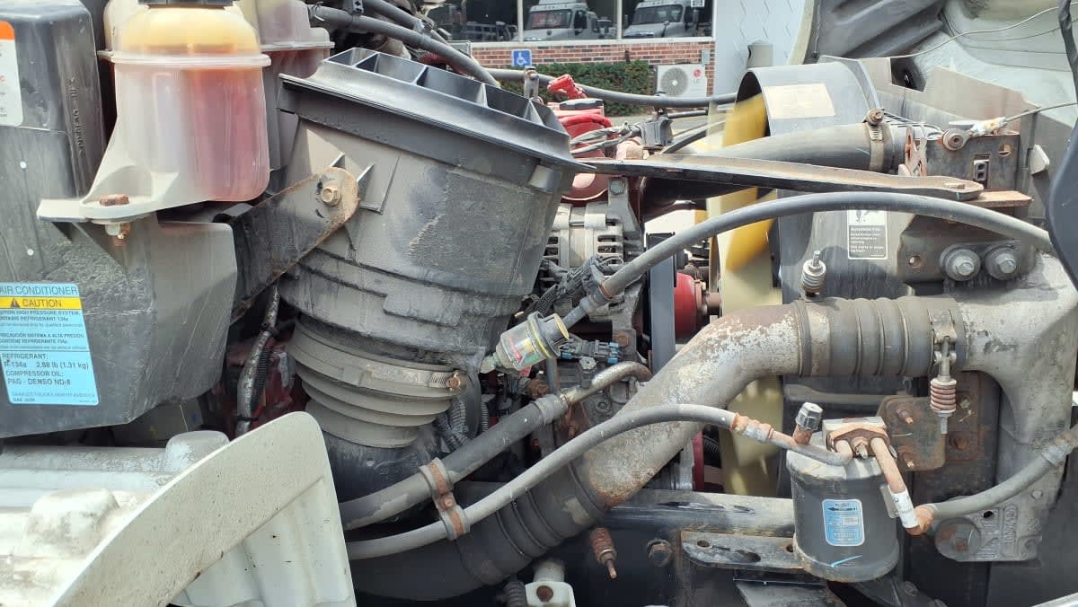2019 Freightliner/Mercedes M2 106 875821