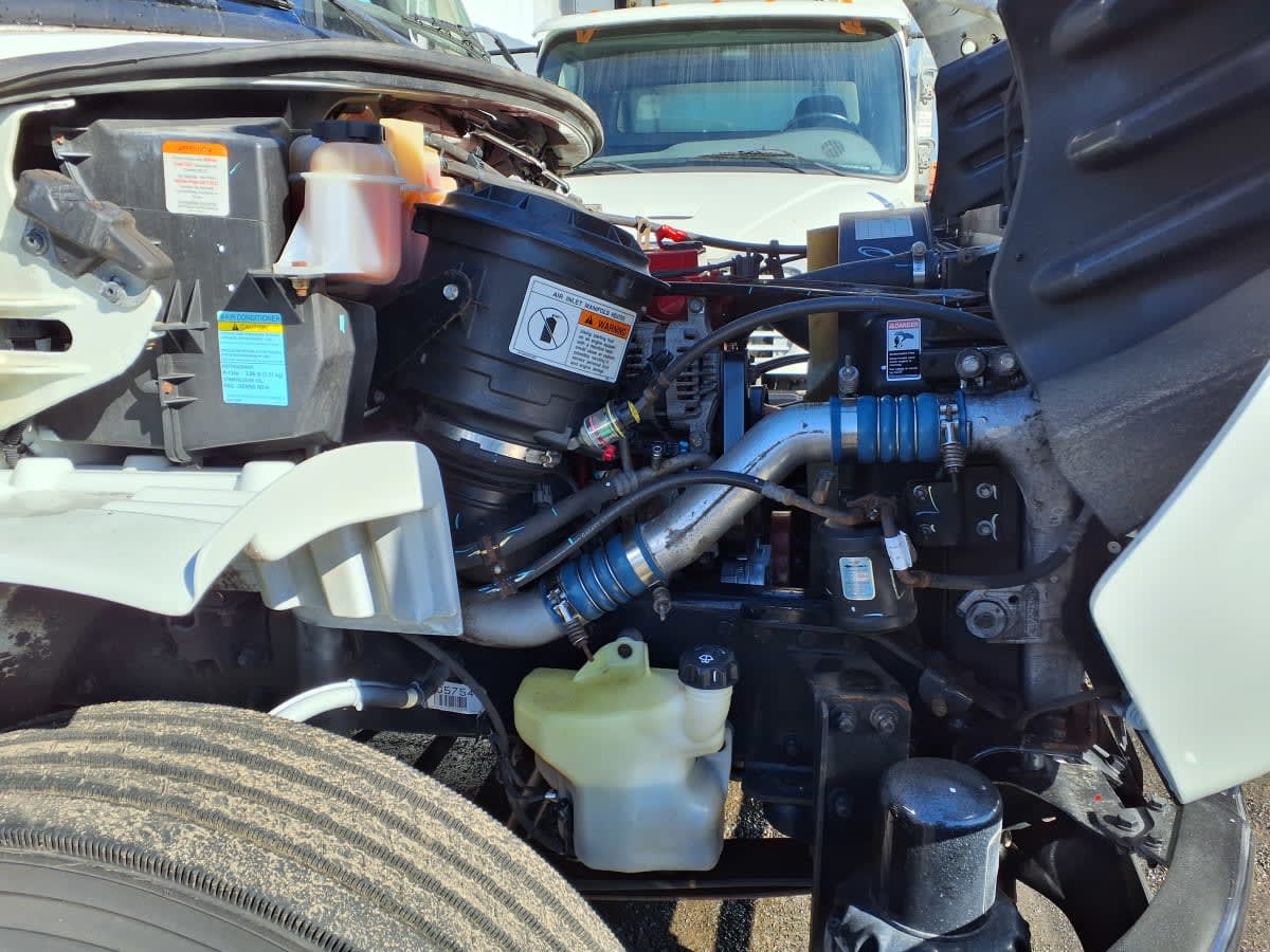 2019 Freightliner/Mercedes M2 106 875824