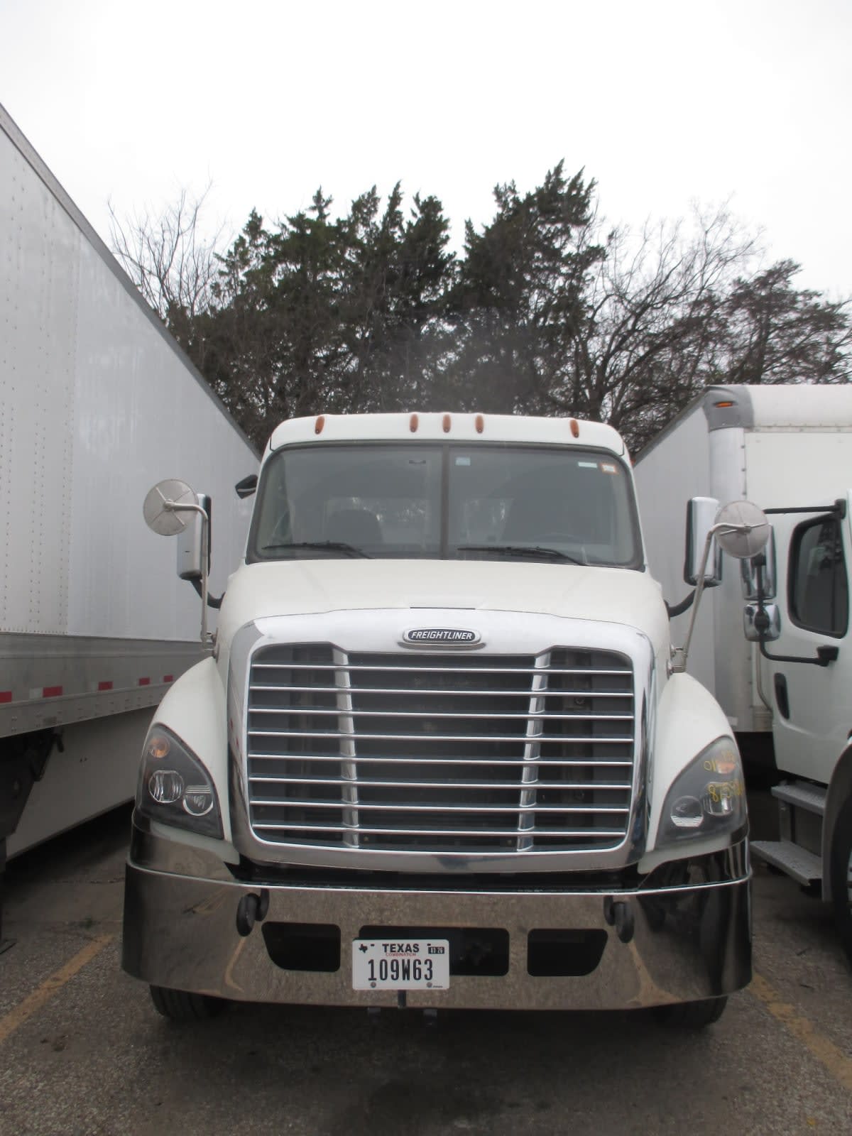 2019 Freightliner/Mercedes CASCADIA 125 875924 2019 Freightliner/Mercedes CASCADIA 125 875924
