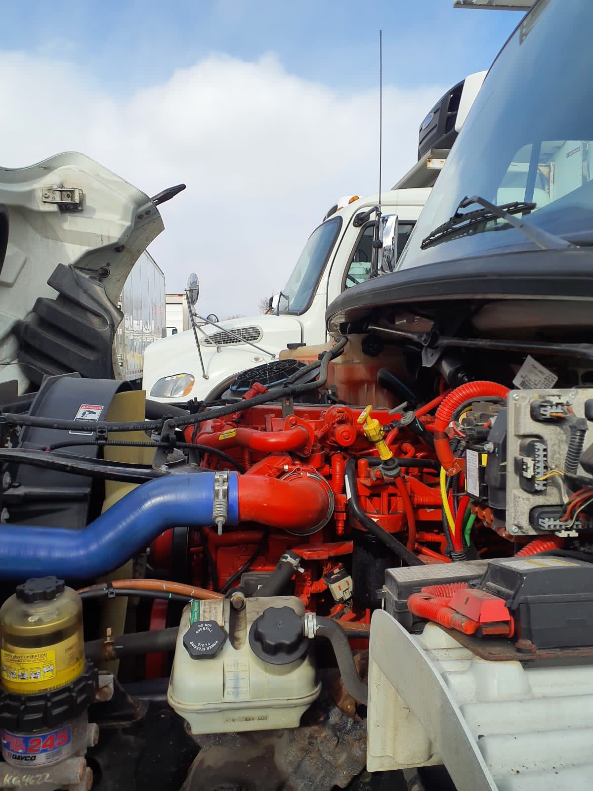 2019 Freightliner/Mercedes M2 106 875943