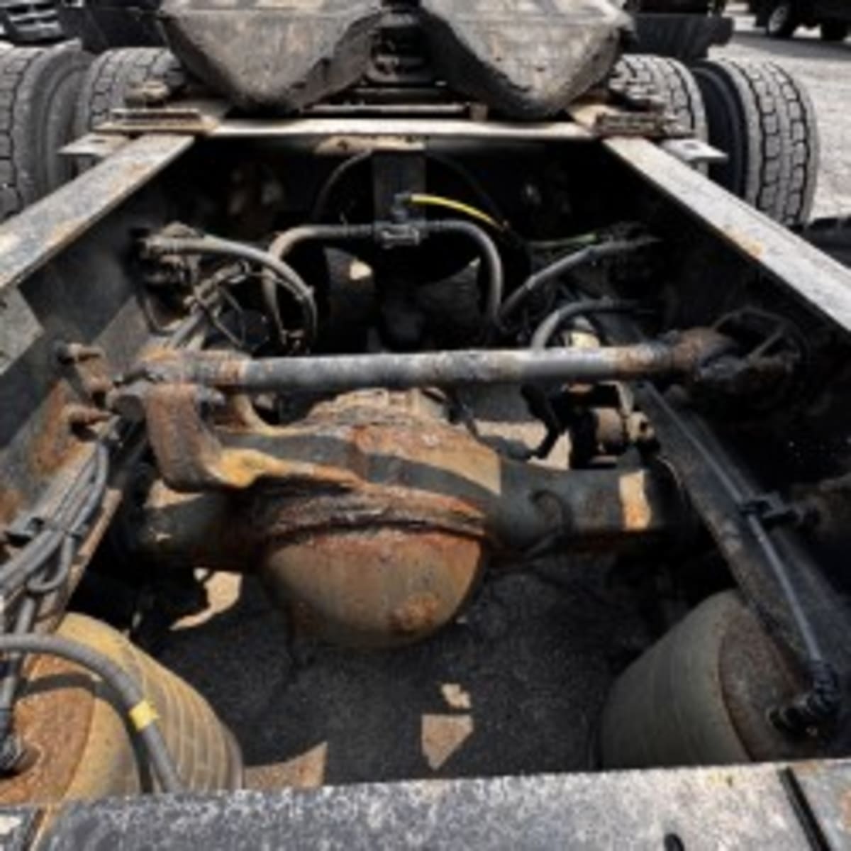 2019 International - image 10