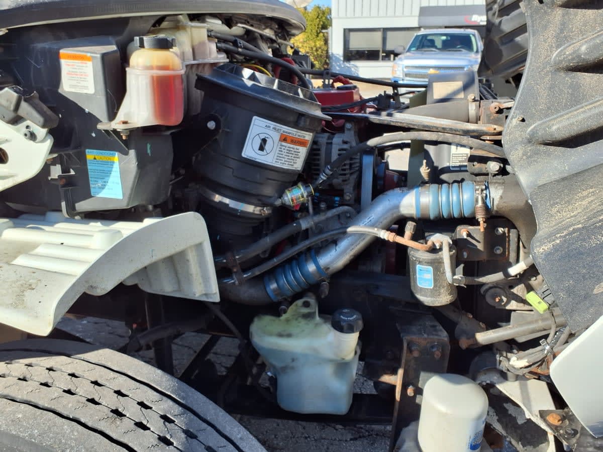 2019 Freightliner/Mercedes M2 106 876005