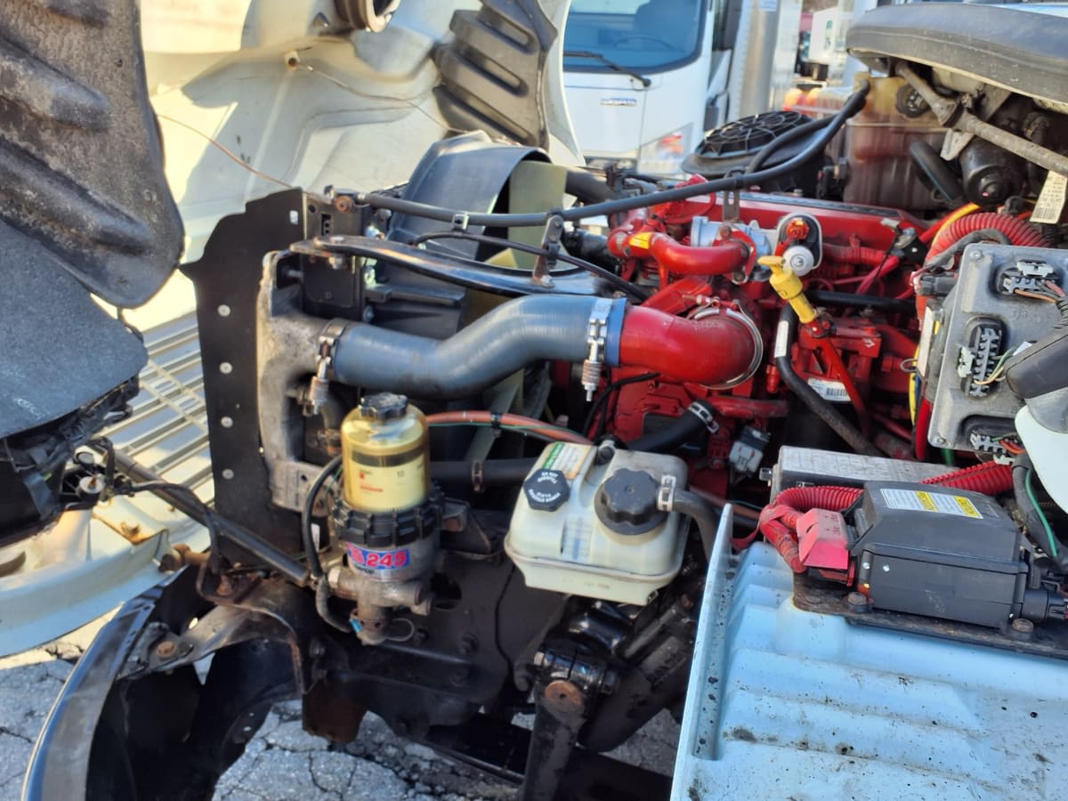 2019 Freightliner/Mercedes M2 106 876005