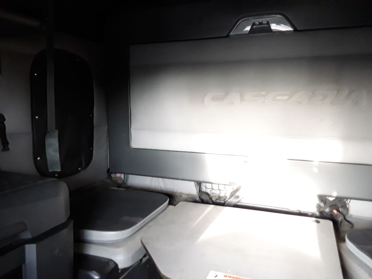 2019 Freightliner/Mercedes NEW CASCADIA PX12664 876107