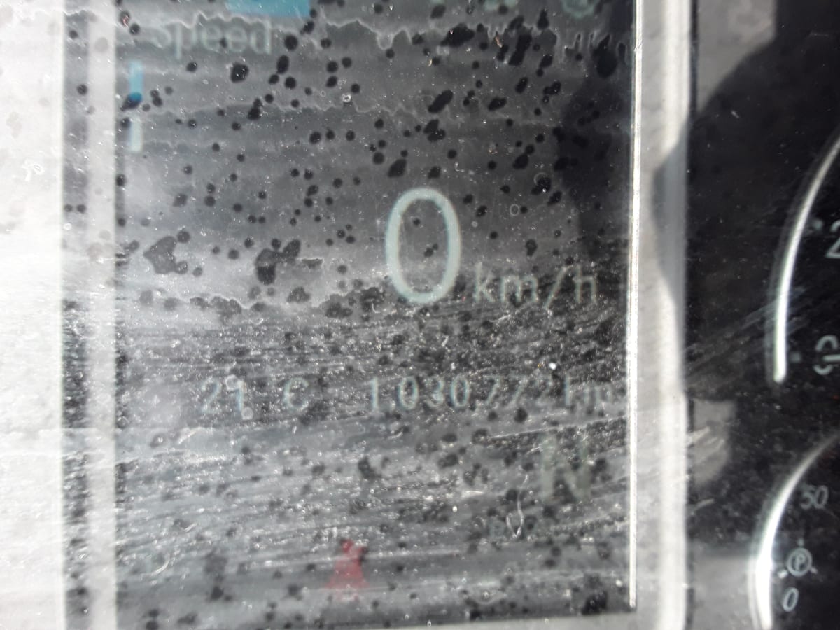 2019 Freightliner/Mercedes NEW CASCADIA PX12664 876154