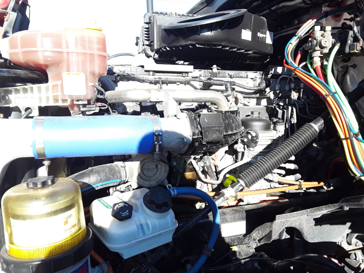 2020 Freightliner/Mercedes NEW CASCADIA PX12664 876180