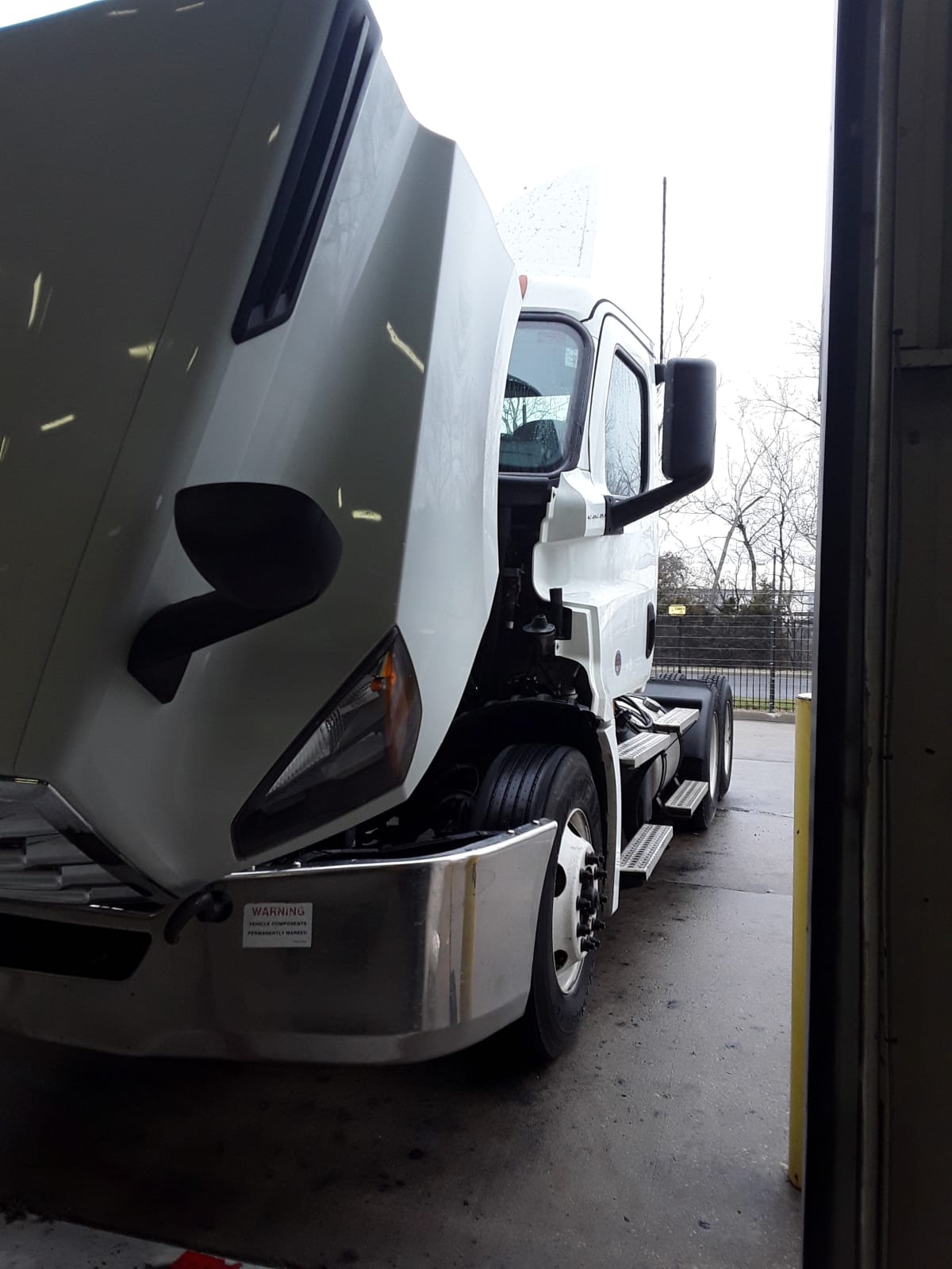 2019 Freightliner/Mercedes NEW CASCADIA PX12664 876252