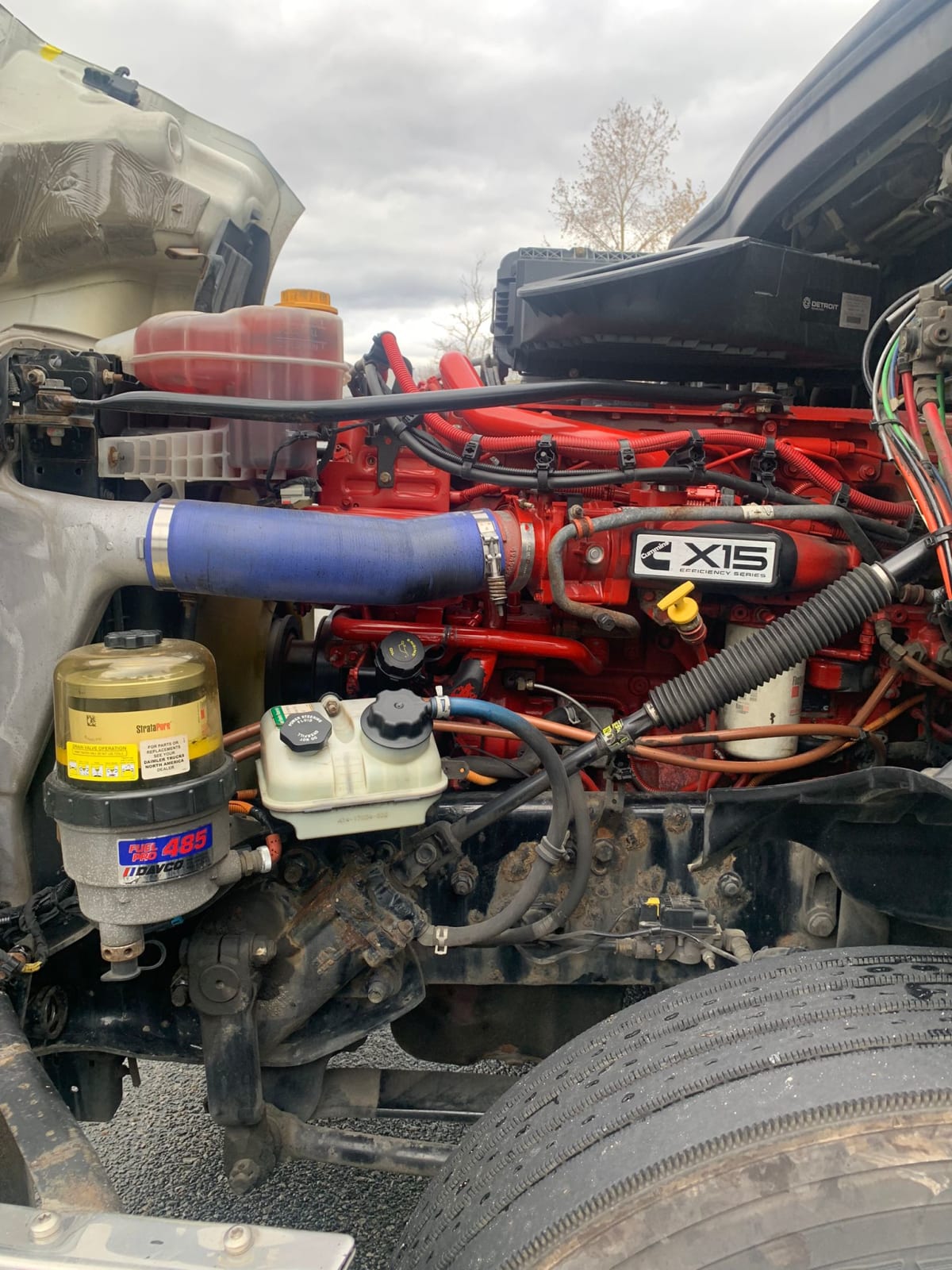 2020 Freightliner/Mercedes NEW CASCADIA PX12664 876531