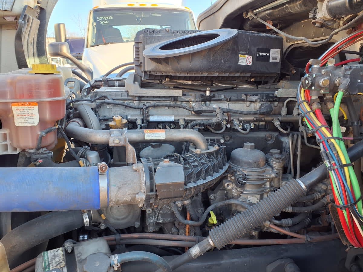 2020 Freightliner/Mercedes NEW CASCADIA PX12664 876544