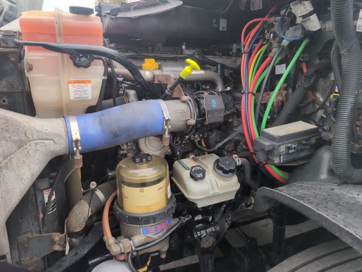 2020 Freightliner/Mercedes CASCADIA 113 876634