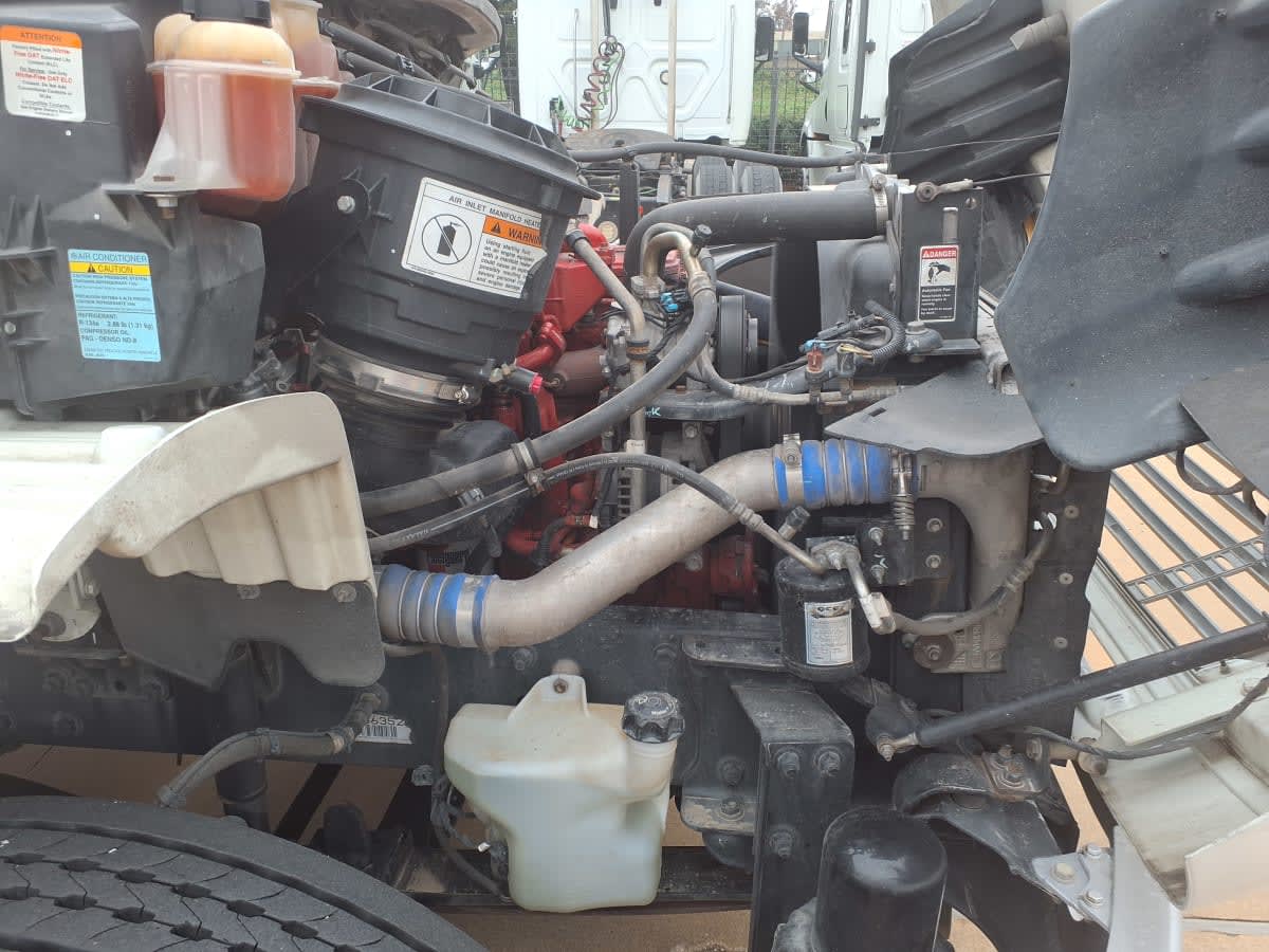 2019 Freightliner/Mercedes M2 106 876731