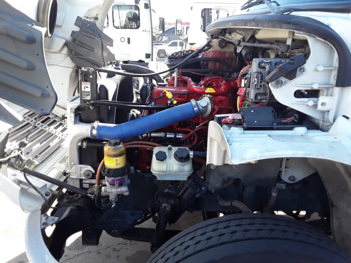 2019 Freightliner/Mercedes M2 106 876733