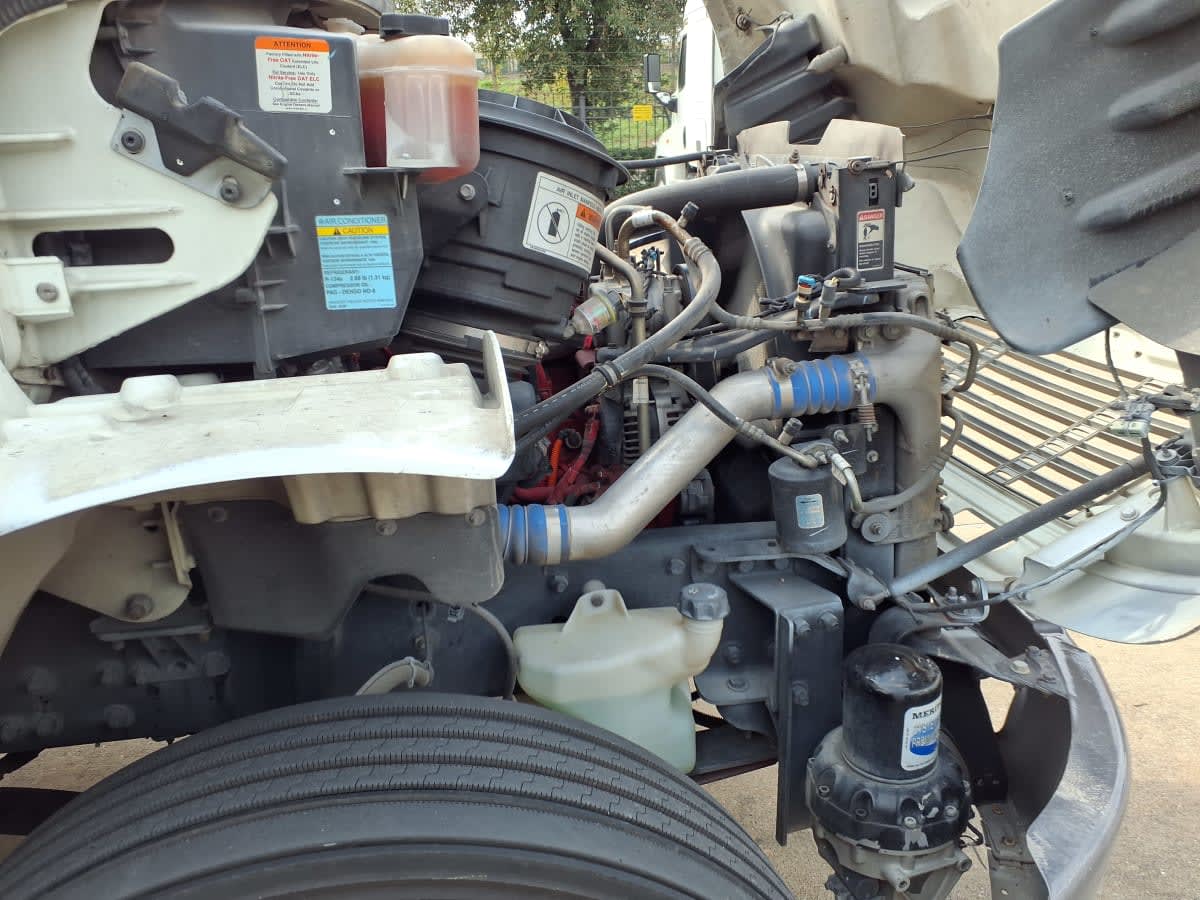 2019 Freightliner/Mercedes M2 106 876741