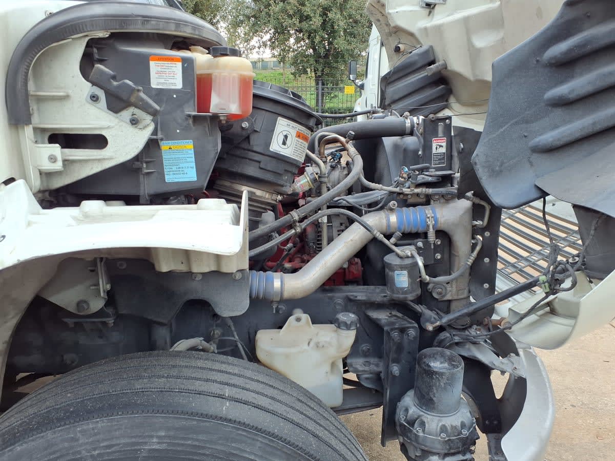 2019 Freightliner/Mercedes M2 106 876747