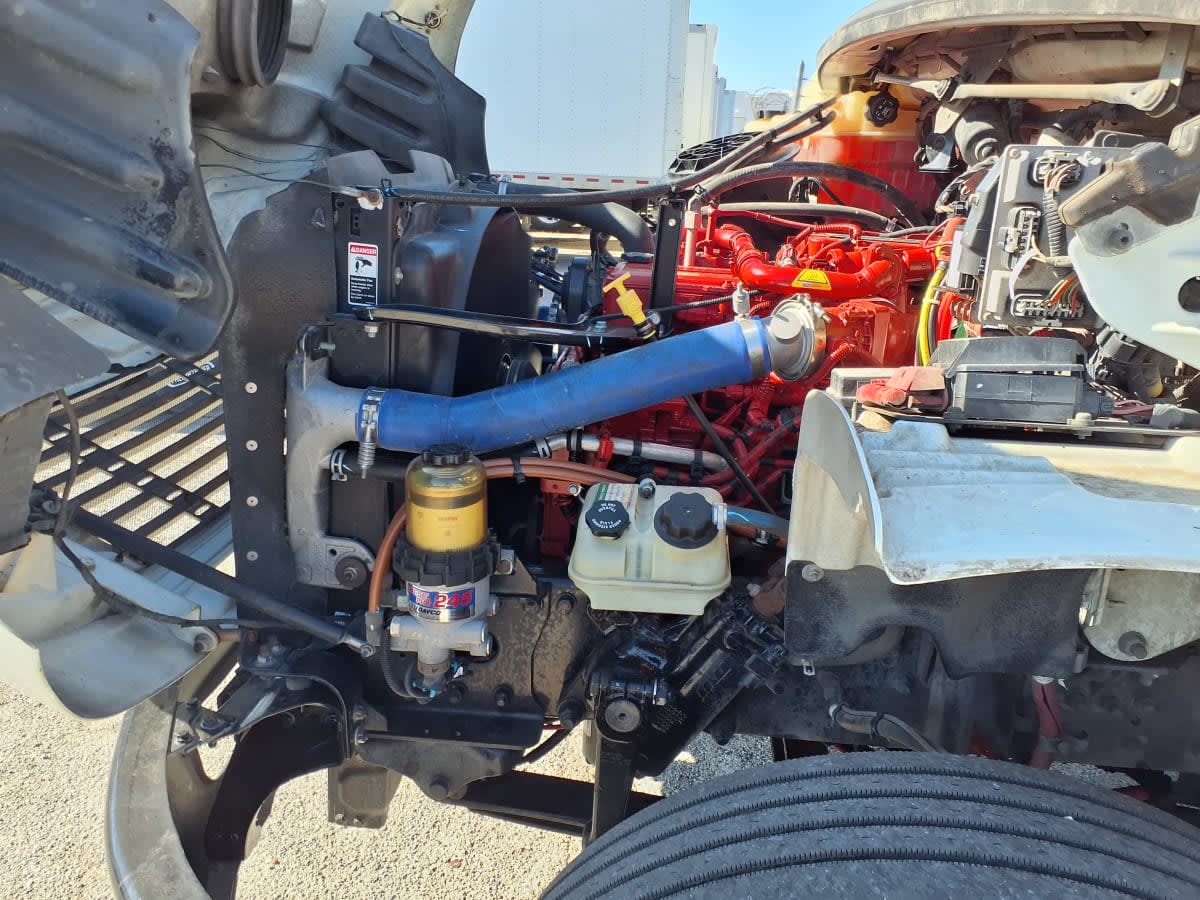 2019 Freightliner/Mercedes M2 106 876750