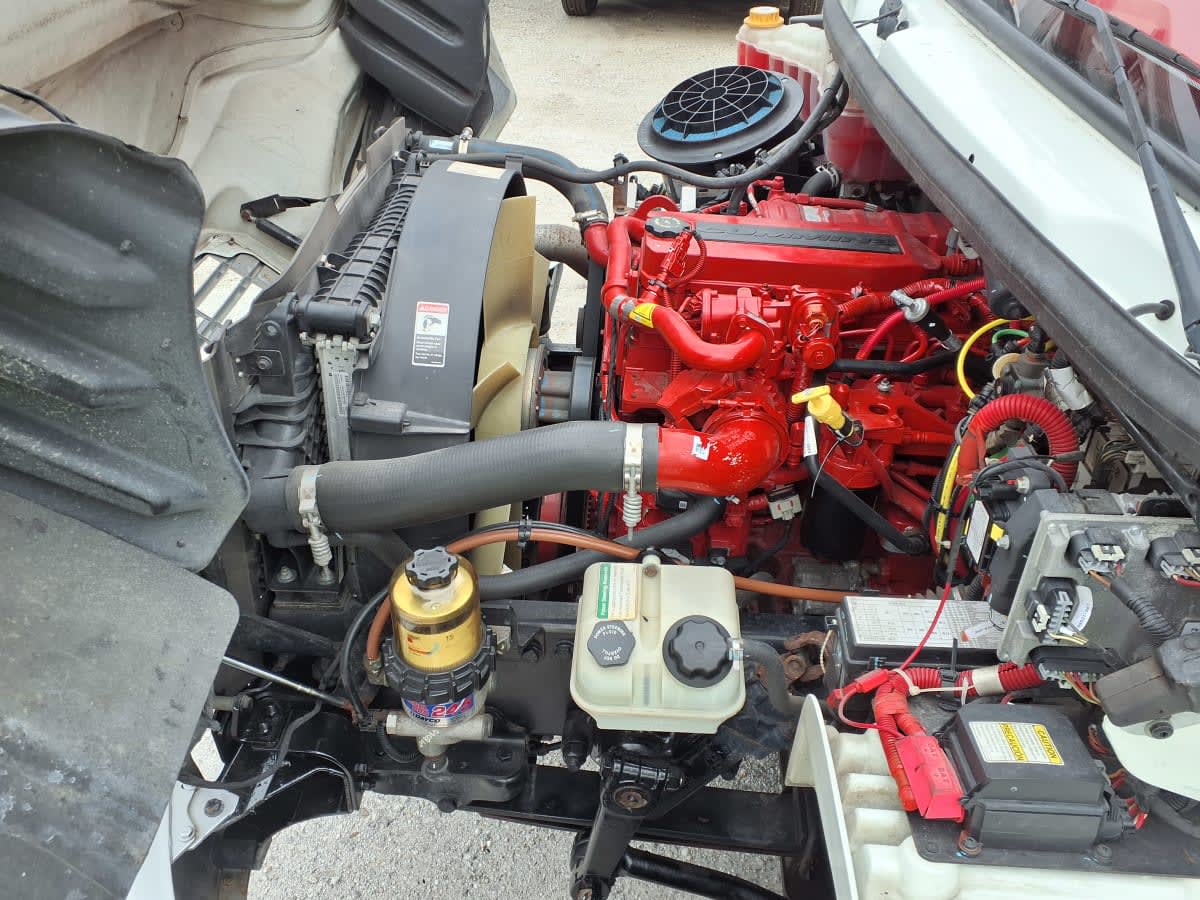 2019 Freightliner/Mercedes M2 106 876914