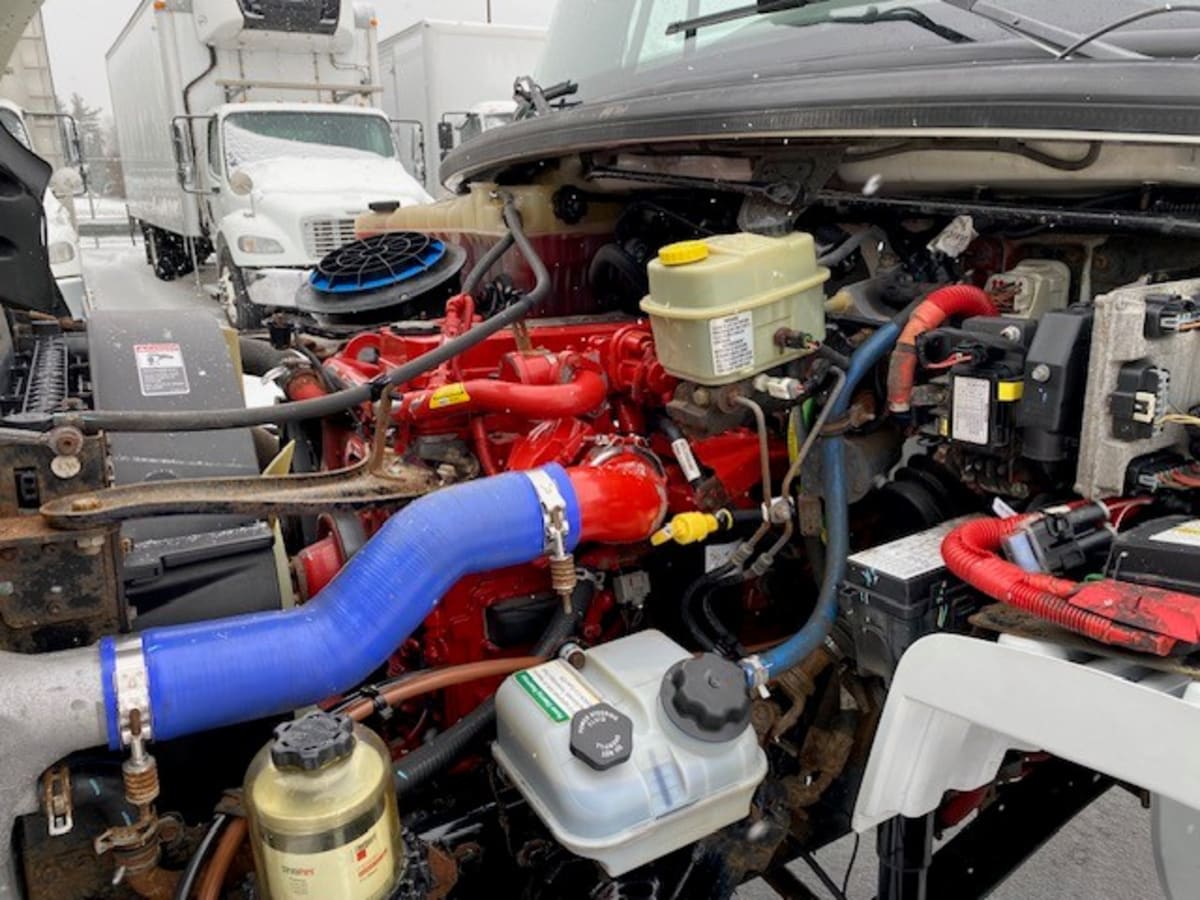 2019 Freightliner/Mercedes M2 106 877231