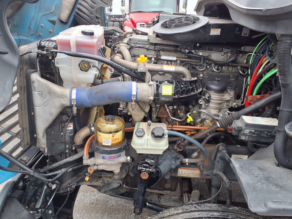 2020 Freightliner/Mercedes CASCADIA 125 877345