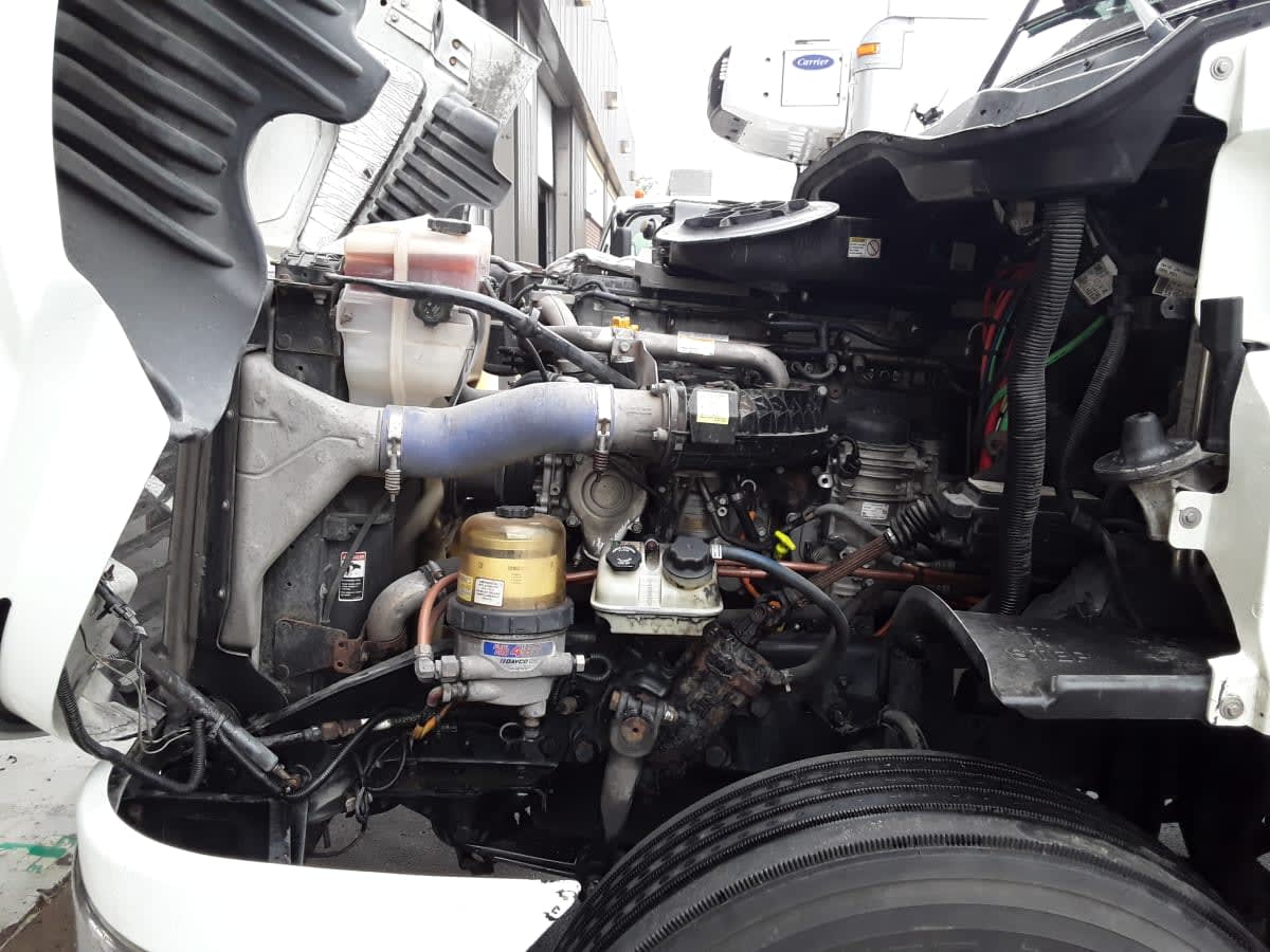 2020 Freightliner/Mercedes CASCADIA 125 877347