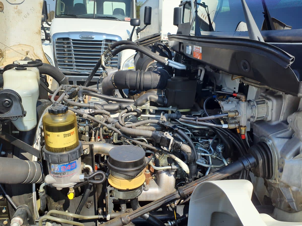 2019 Hino HINO 338 877371