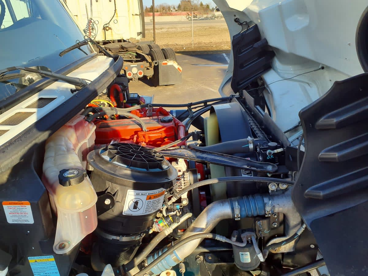 2019 Freightliner/Mercedes M2 106 877394