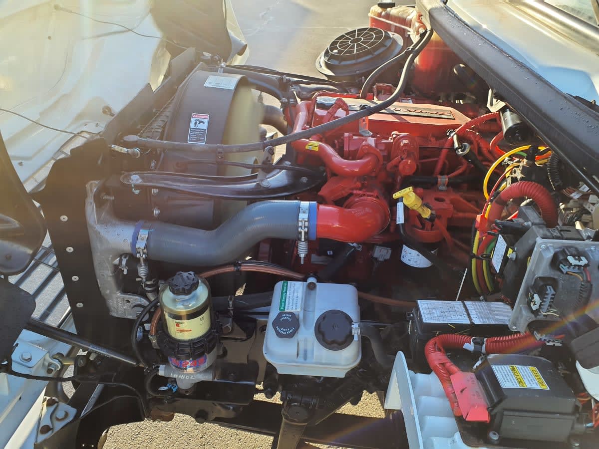 2019 Freightliner/Mercedes M2 106 877394