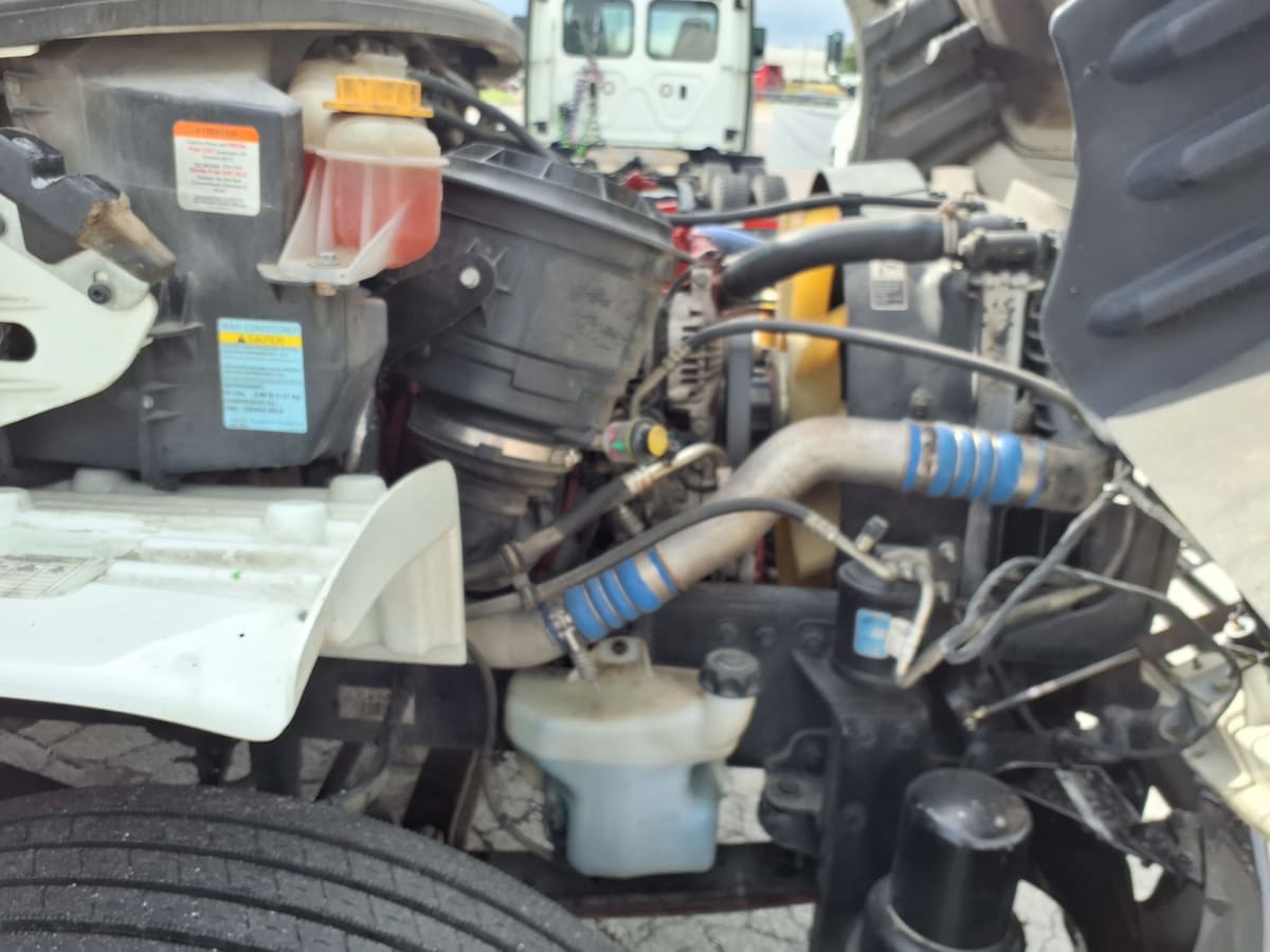 2019 Freightliner/Mercedes M2 106 877426