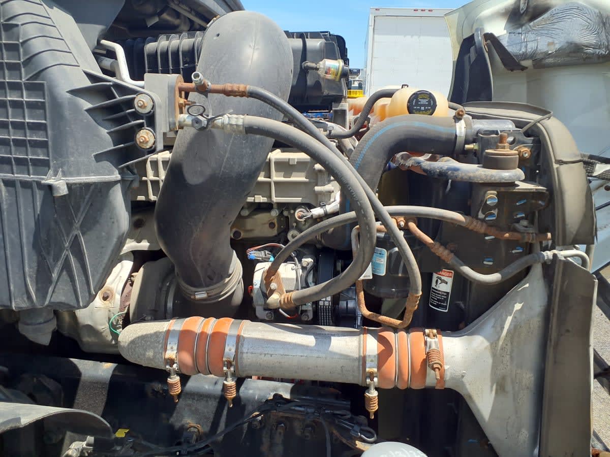 2020 Freightliner/Mercedes NEW CASCADIA 116 877427