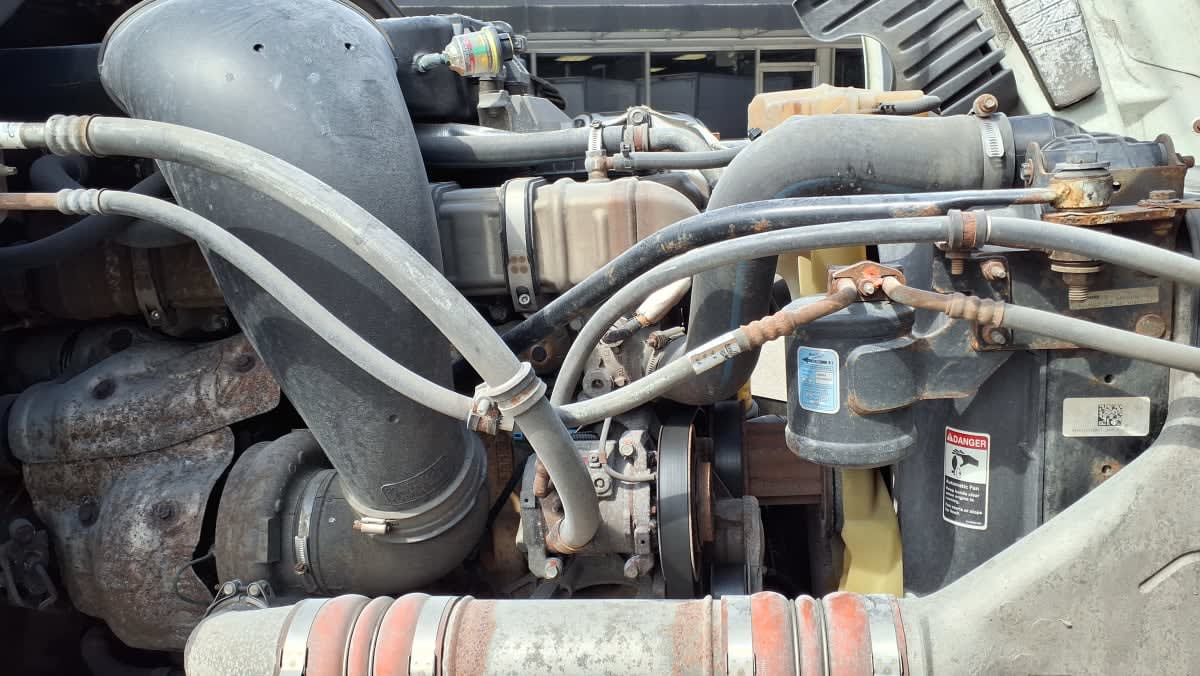 2020 Freightliner/Mercedes CASCADIA 125 877450