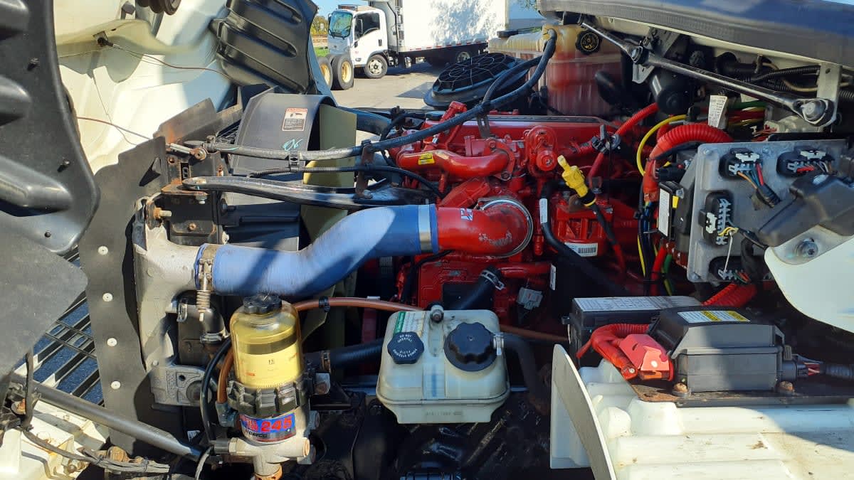 2019 Freightliner/Mercedes M2 106 877670