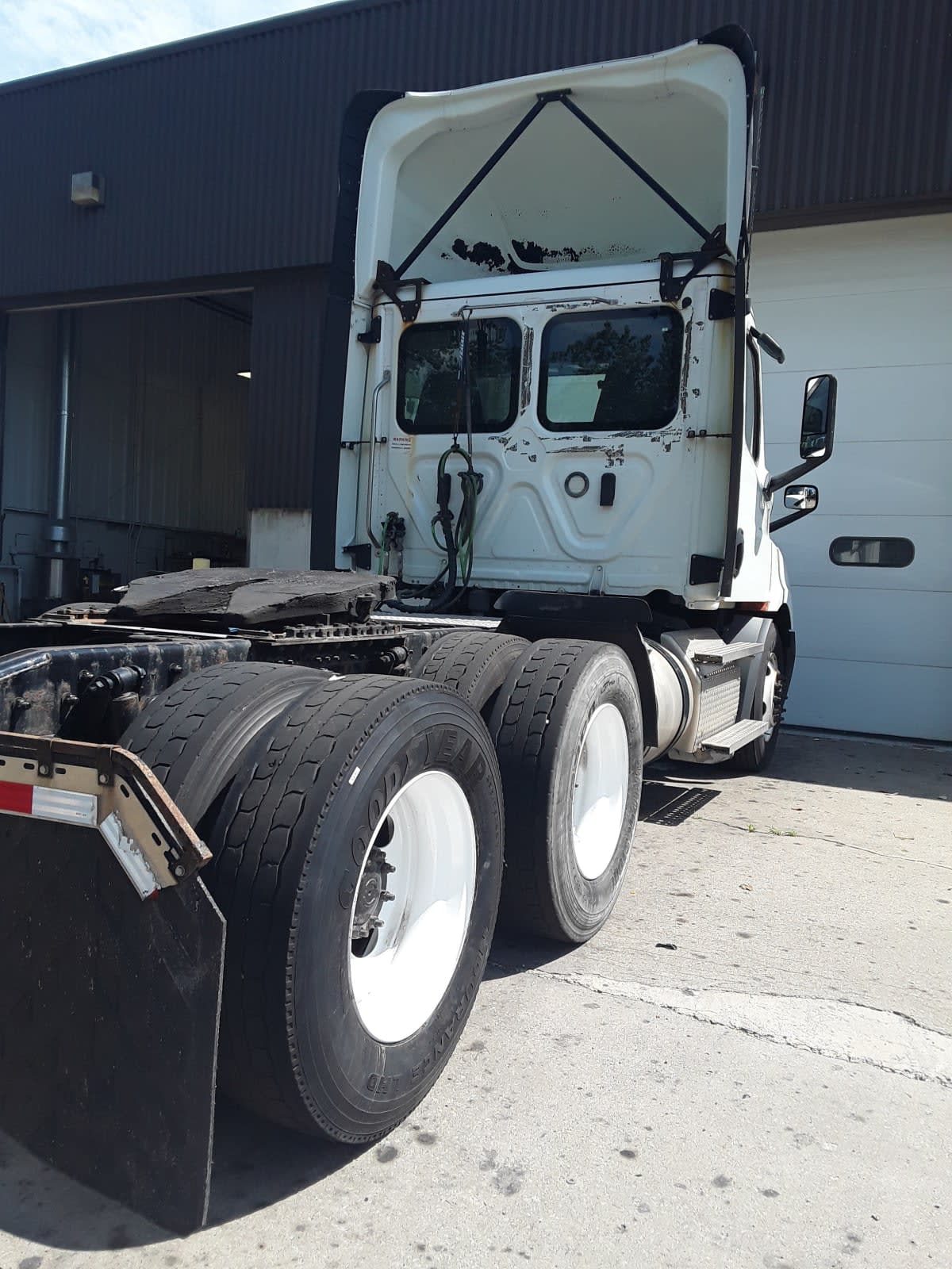 2019 Freightliner NEW CASCADIA 116 877692