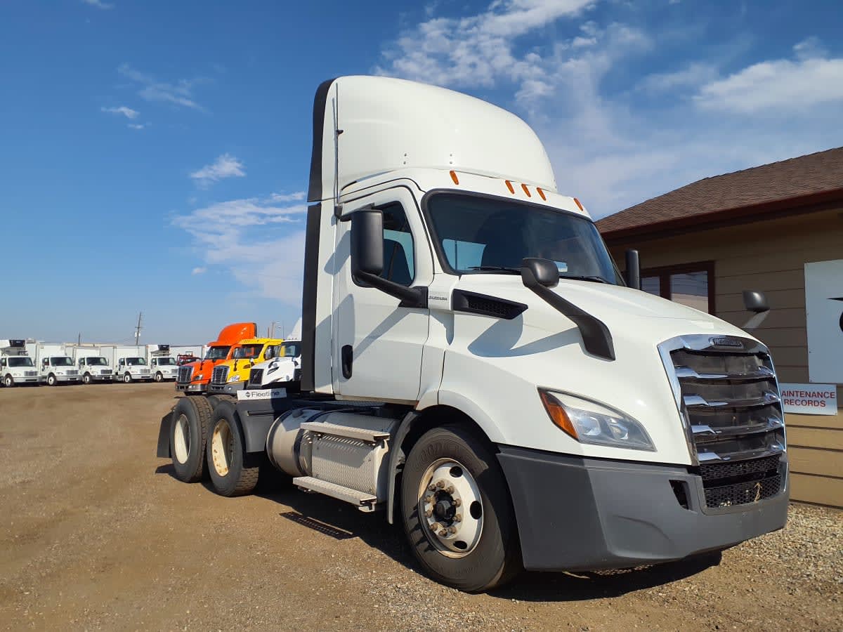 2019 Freightliner - image 3