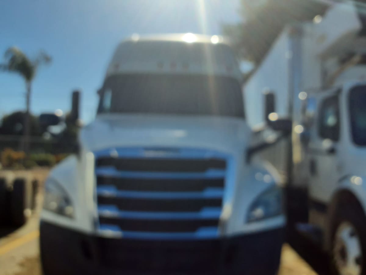 2019 Freightliner/Mercedes NEW CASCADIA PX12664 877728