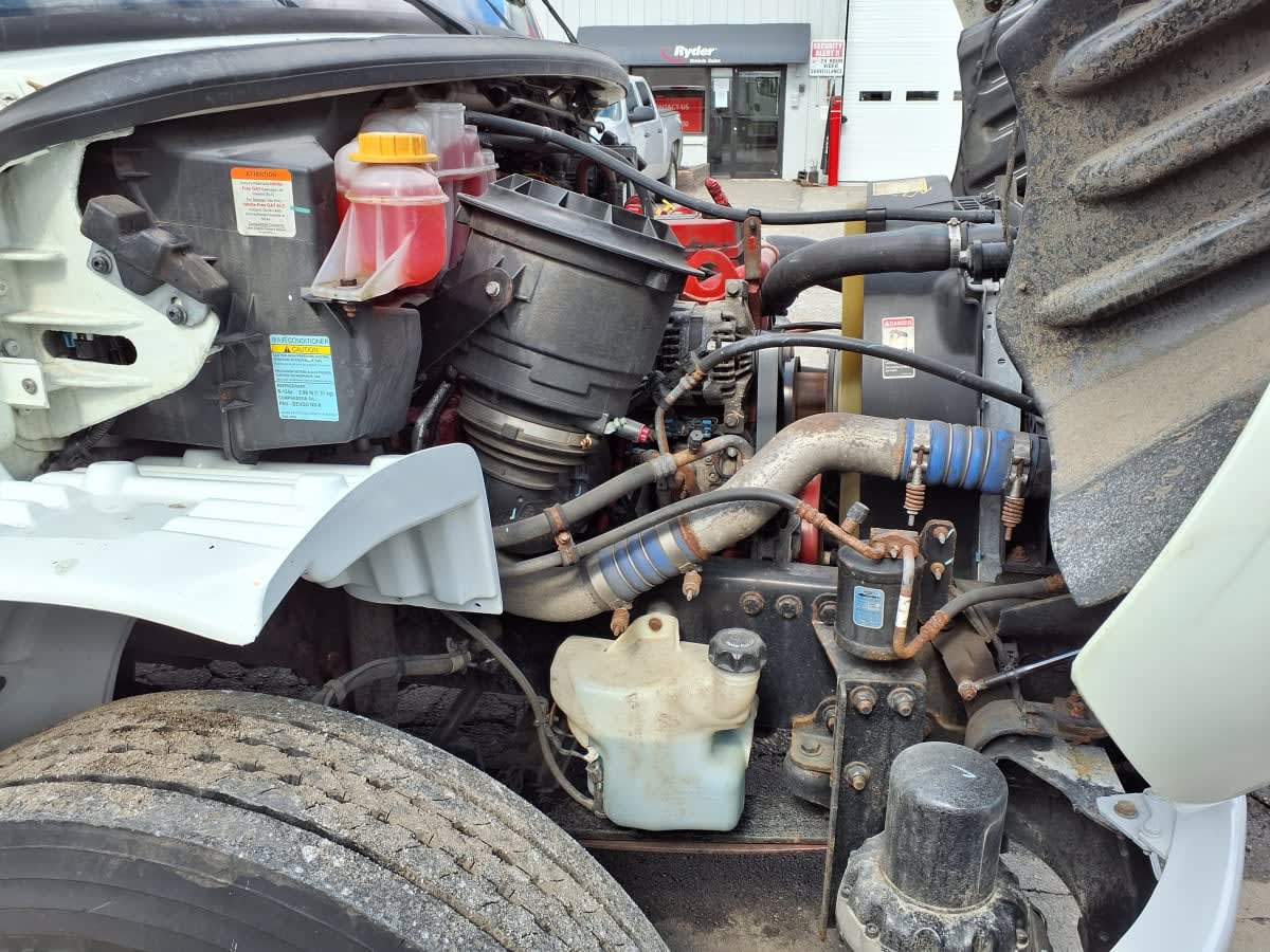 2019 Freightliner/Mercedes M2 106 877745