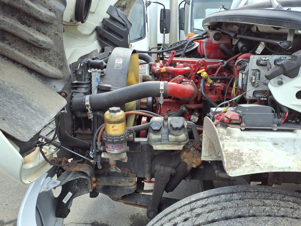 2019 Freightliner/Mercedes M2 106 877745