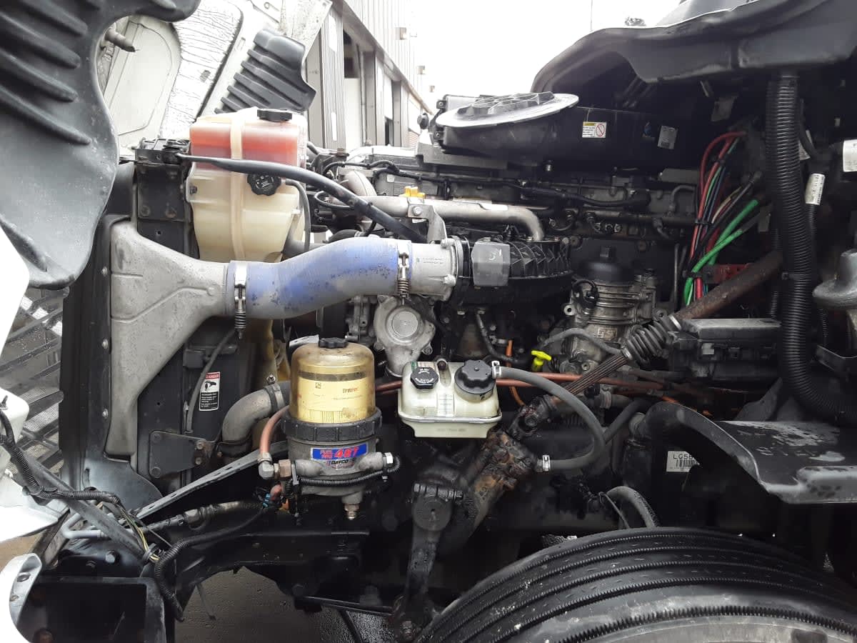 2020 Freightliner/Mercedes CASCADIA 125 877815