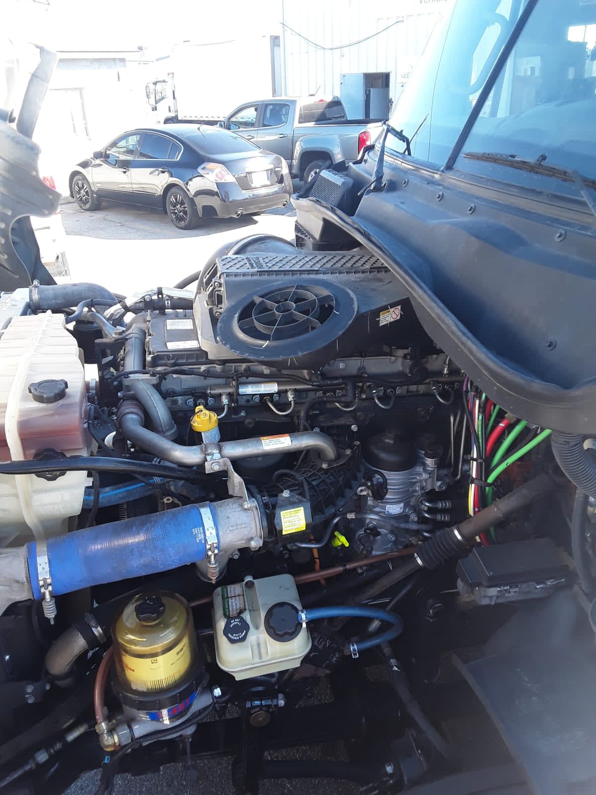 2019 Freightliner - image 9