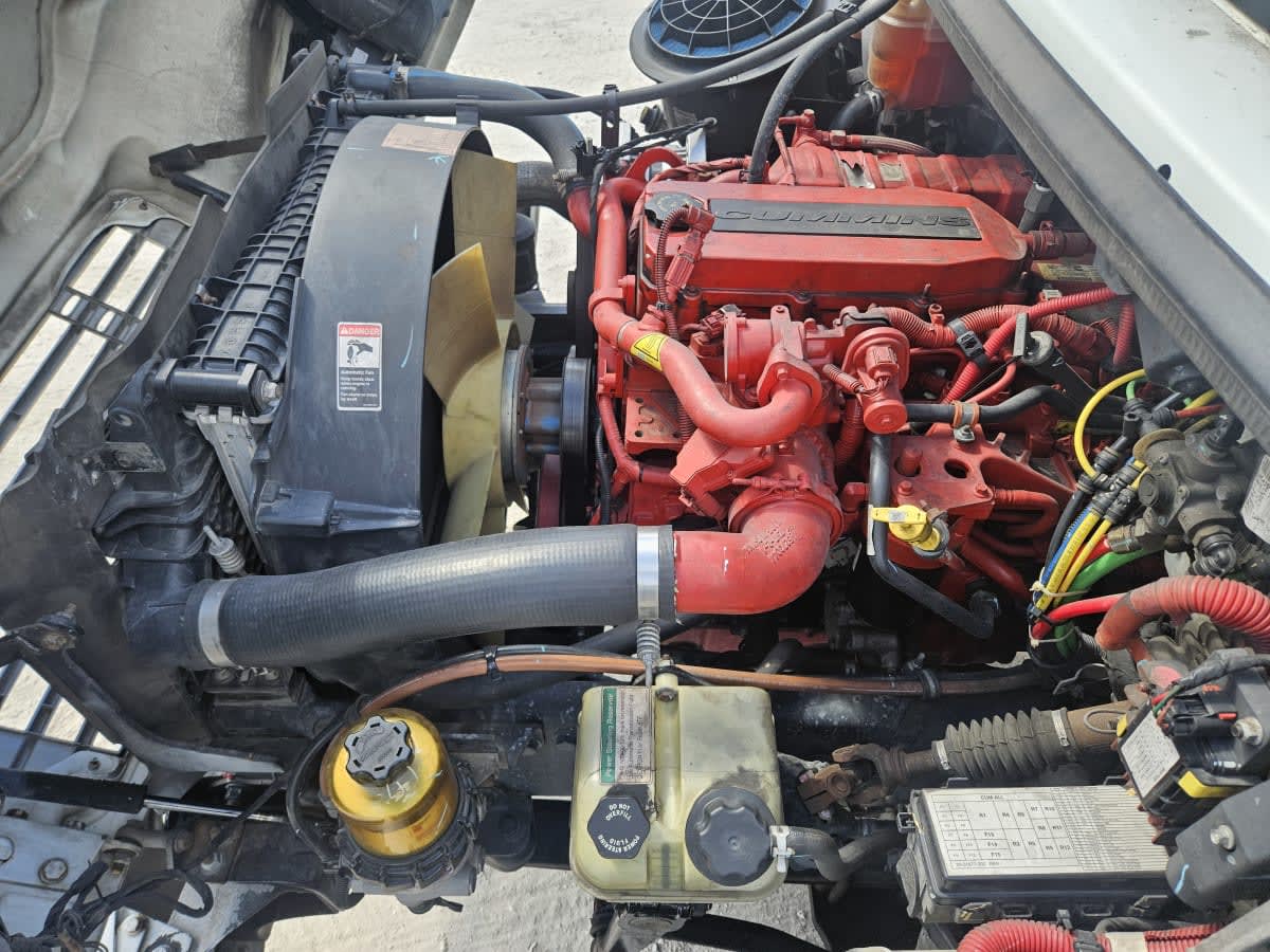 2019 Freightliner/Mercedes M2 106 877996