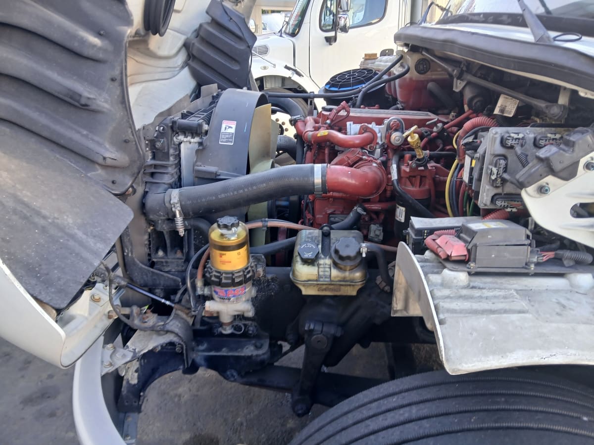 2019 Freightliner/Mercedes M2 106 877999