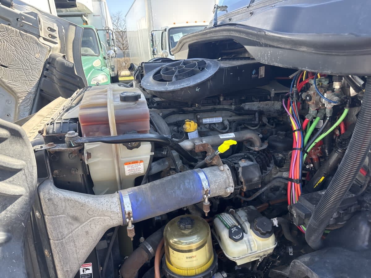 2019 Freightliner/Mercedes CASCADIA 113 878025