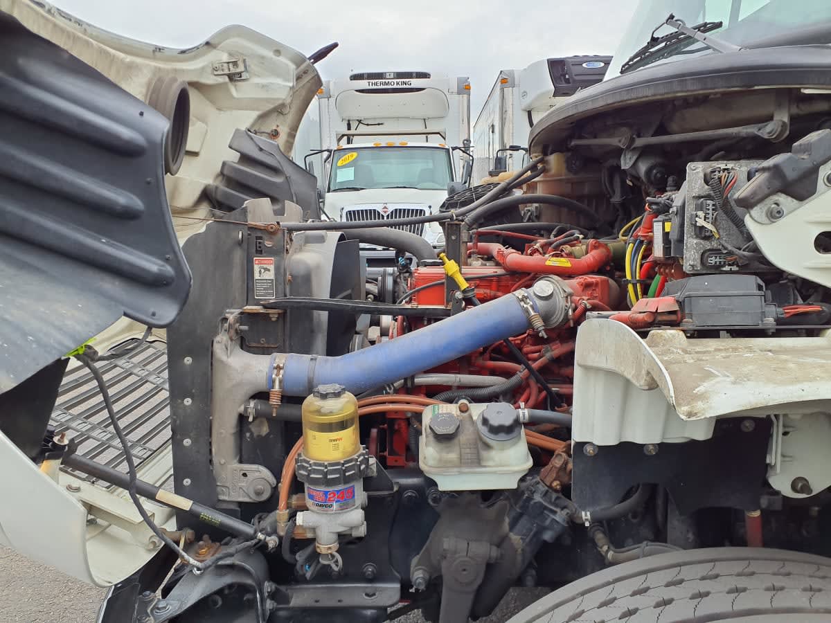 2019 Freightliner/Mercedes M2 106 878167