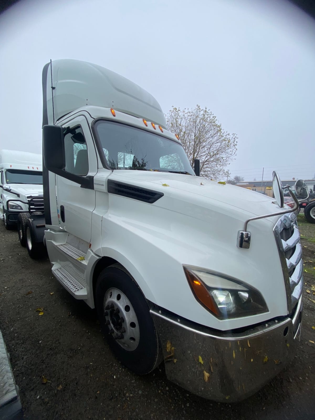 2019 Freightliner - image 3