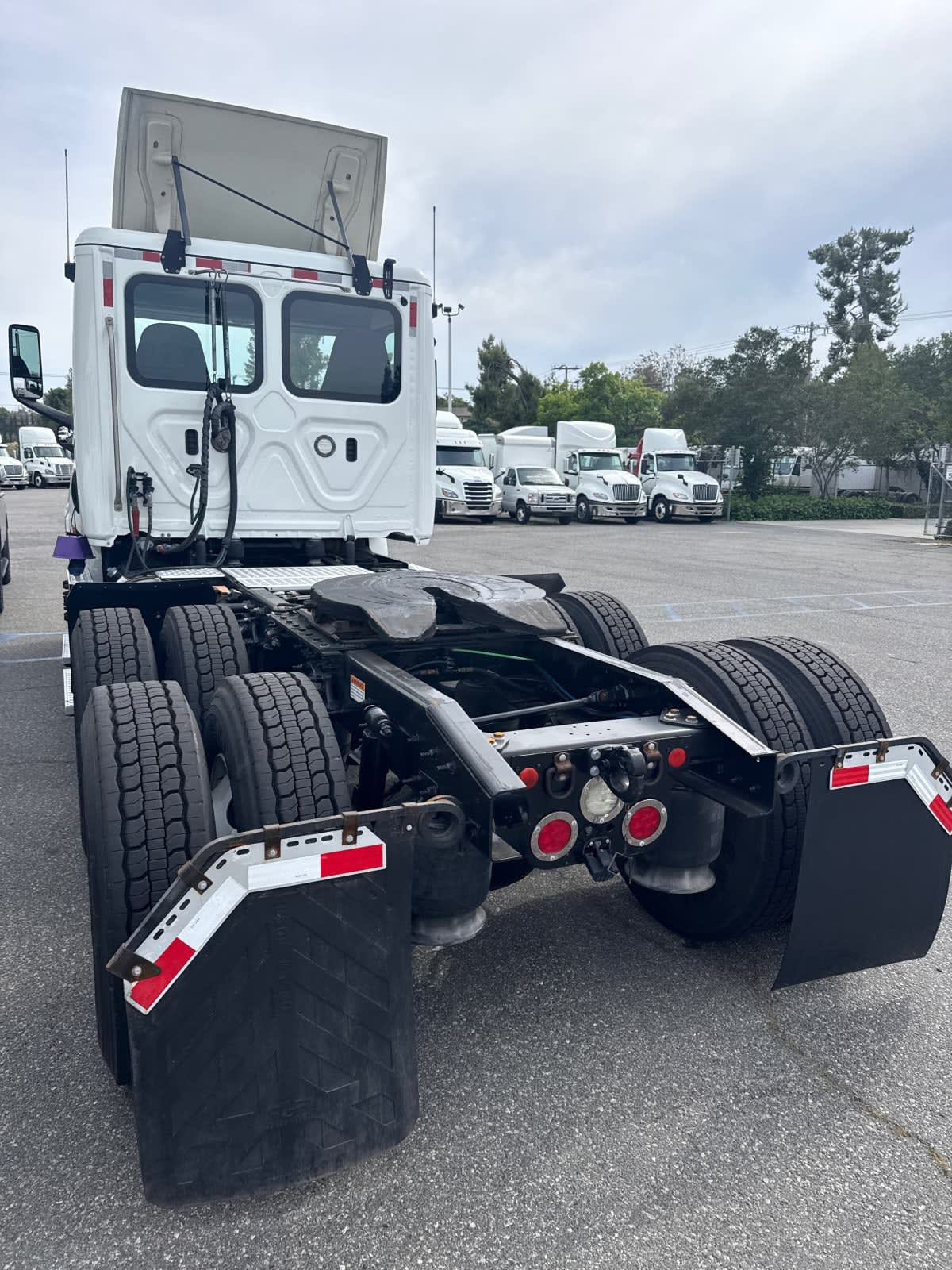 2019 Freightliner/Mercedes NEW CASCADIA PX12664 878264