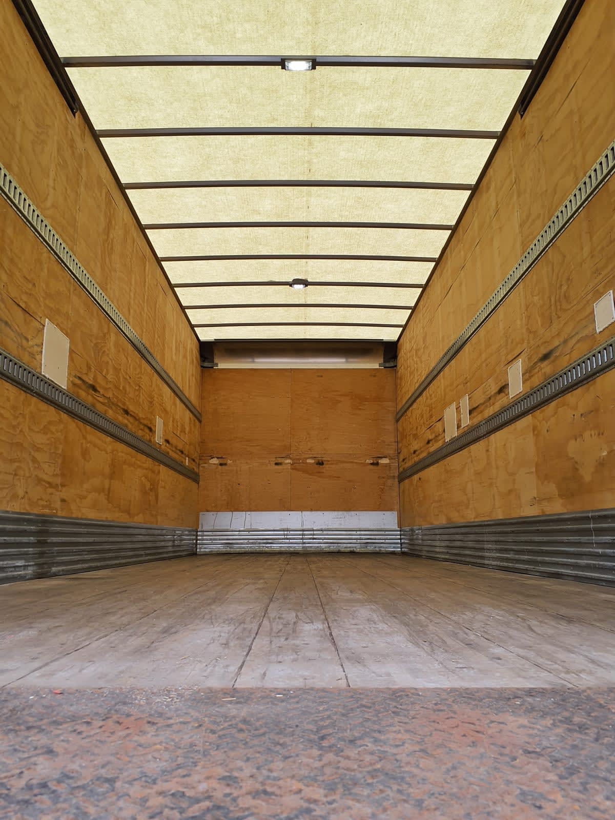 2019 Freightliner/Mercedes M2 106 878313