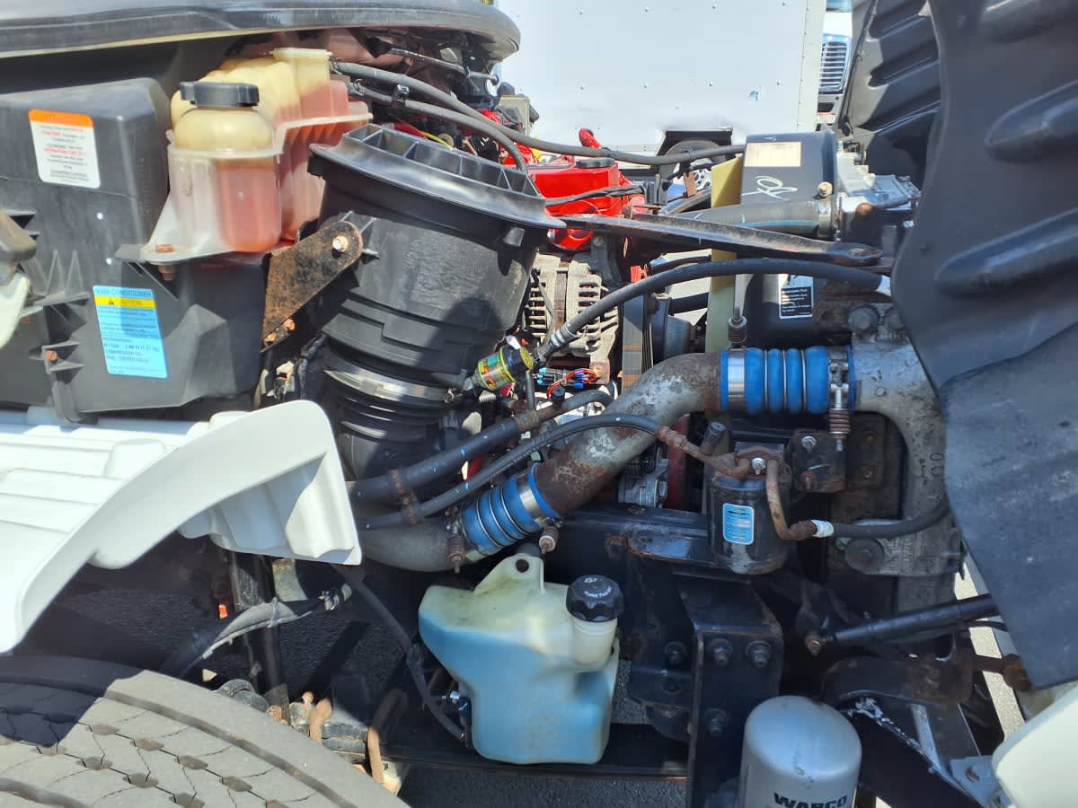 2019 Freightliner/Mercedes M2 106 878525