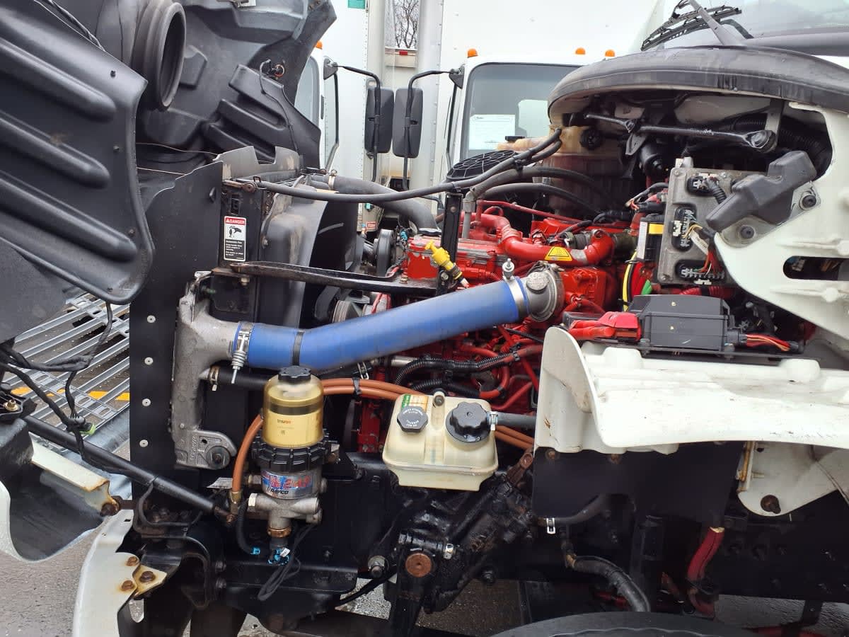 2019 Freightliner/Mercedes M2 106 878589